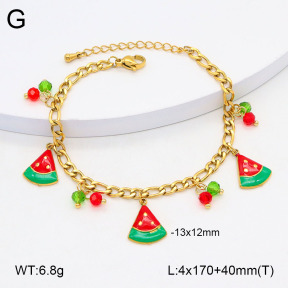 2B3003730bhia-669  Stainless Steel Bracelet