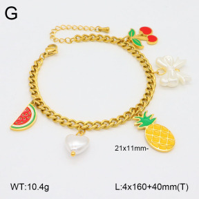 2B3003737bhia-669  Stainless Steel Bracelet