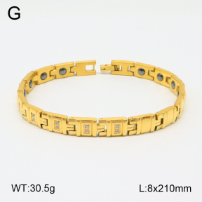 2B4004509biib-661  Stainless Steel Bracelet