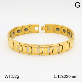 2B4004513aija-661  Stainless Steel Bracelet