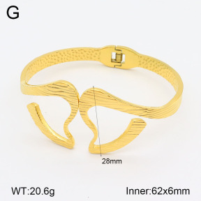 2BA201860vhll-311  Stainless Steel Bangle