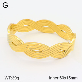 2BA201862vhkl-311  Stainless Steel Bangle