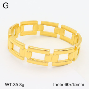 2BA201864vhkl-311  Stainless Steel Bangle
