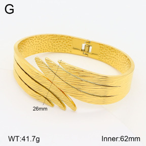 2BA201866vhll-311  Stainless Steel Bangle
