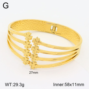2BA201868vhll-311  Stainless Steel Bangle