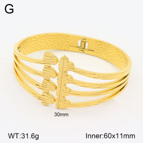 2BA201870vhll-311  Stainless Steel Bangle