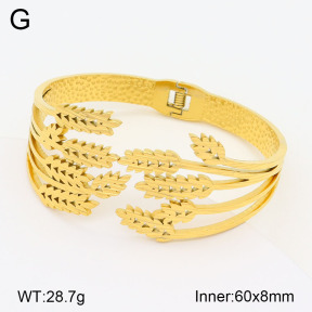 2BA201873vhll-311  Stainless Steel Bangle