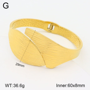 2BA201876vhll-311  Stainless Steel Bangle
