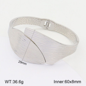 2BA201877vhkb-311  Stainless Steel Bangle