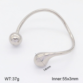 2BA201881vhkl-311  Stainless Steel Bangle