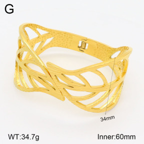 2BA201883ahlv-311  Stainless Steel Bangle