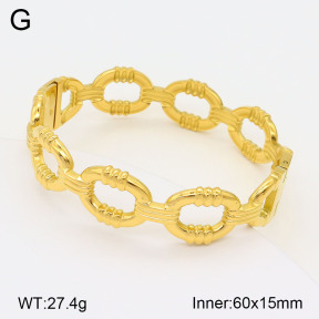 2BA201884vhkl-311  Stainless Steel Bangle