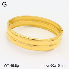 2BA201886vhkl-311  Stainless Steel Bangle
