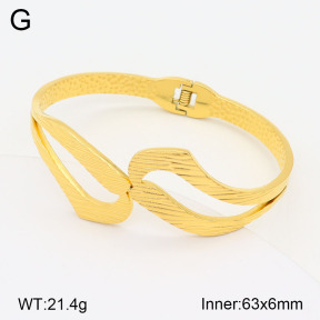 2BA201888vhll-311  Stainless Steel Bangle