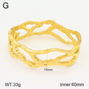 2BA201892vhkl-311  Stainless Steel Bangle