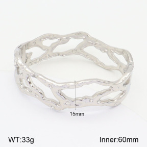2BA201893ahjb-311  Stainless Steel Bangle