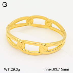 2BA201894vhkl-311  Stainless Steel Bangle