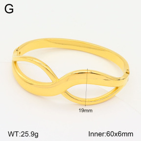 2BA201896vhkl-311  Stainless Steel Bangle