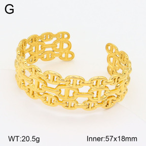2BA201898vhkb-311  Stainless Steel Bangle