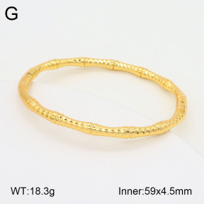 2BA201907bbov-434  Stainless Steel Bangle