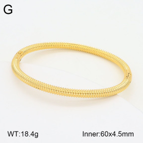 2BA201908bbov-434  Stainless Steel Bangle