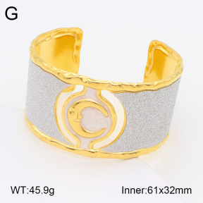 2BA300450vhkb-434  Stainless Steel Bangle
