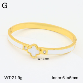 2BA300459vbnb-434  Stainless Steel Bangle