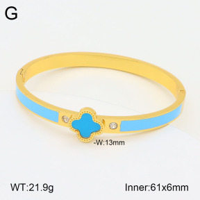 2BA300461vbnb-434  Stainless Steel Bangle