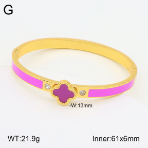 2BA300463vbnb-434  Stainless Steel Bangle