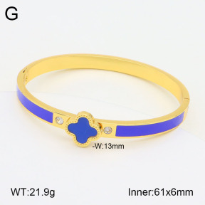 2BA300464vbnb-434  Stainless Steel Bangle