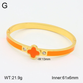 2BA300465vbnb-434  Stainless Steel Bangle
