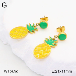 2E3003240vbpb-669  Stainless Steel Earrings