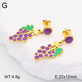 2E3003241vbpb-669  Stainless Steel Earrings