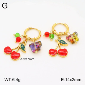 2E3003242bhva-669  Stainless Steel Earrings