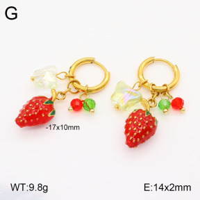 2E3003243bhbl-669  Stainless Steel Earrings