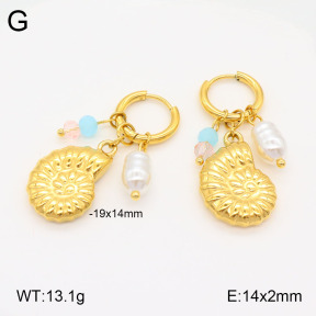 2E3003244bvpl-669  Stainless Steel Earrings