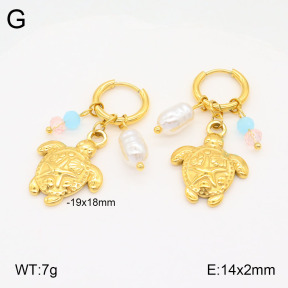 2E3003245bvpl-669  Stainless Steel Earrings