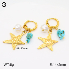 2E3003246bvpl-669  Stainless Steel Earrings