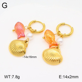 2E3003247bvpl-669  Stainless Steel Earrings
