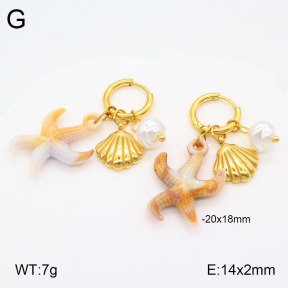 2E3003248bvpl-669  Stainless Steel Earrings