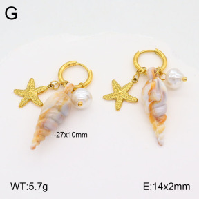 2E3003249vbpb-669  Stainless Steel Earrings