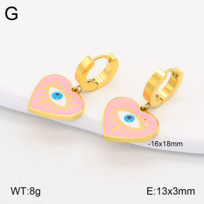 2E3003251bbov-669  Stainless Steel Earrings