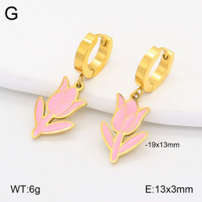 2E3003252bbov-669  Stainless Steel Earrings