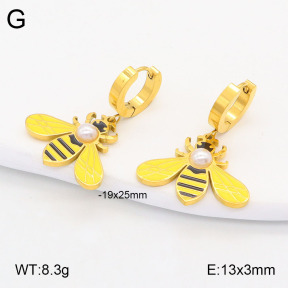 2E3003253vbpb-669  Stainless Steel Earrings
