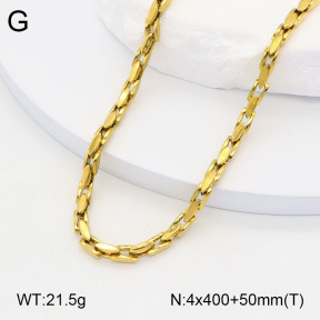 2N2005402abol-434  Stainless Steel Necklace