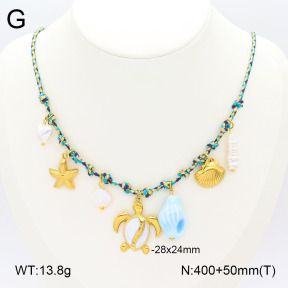 2N3002379bhjl-669  Stainless Steel Necklace