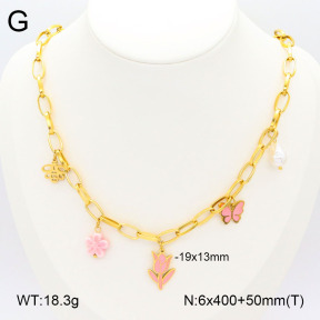 2N3002381vhhl-669  Stainless Steel Necklace