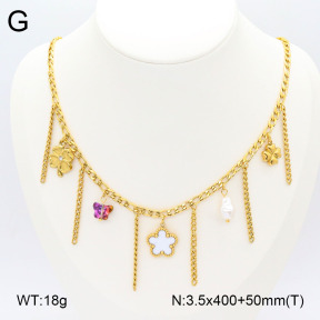 2N3002385bhia-669  Stainless Steel Necklace