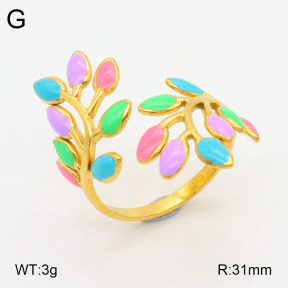 2R3000315vbll-434  Stainless Steel Ring