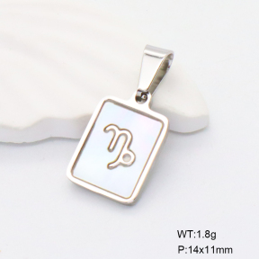 6P3000332vail-675  Stainless Steel Pendant